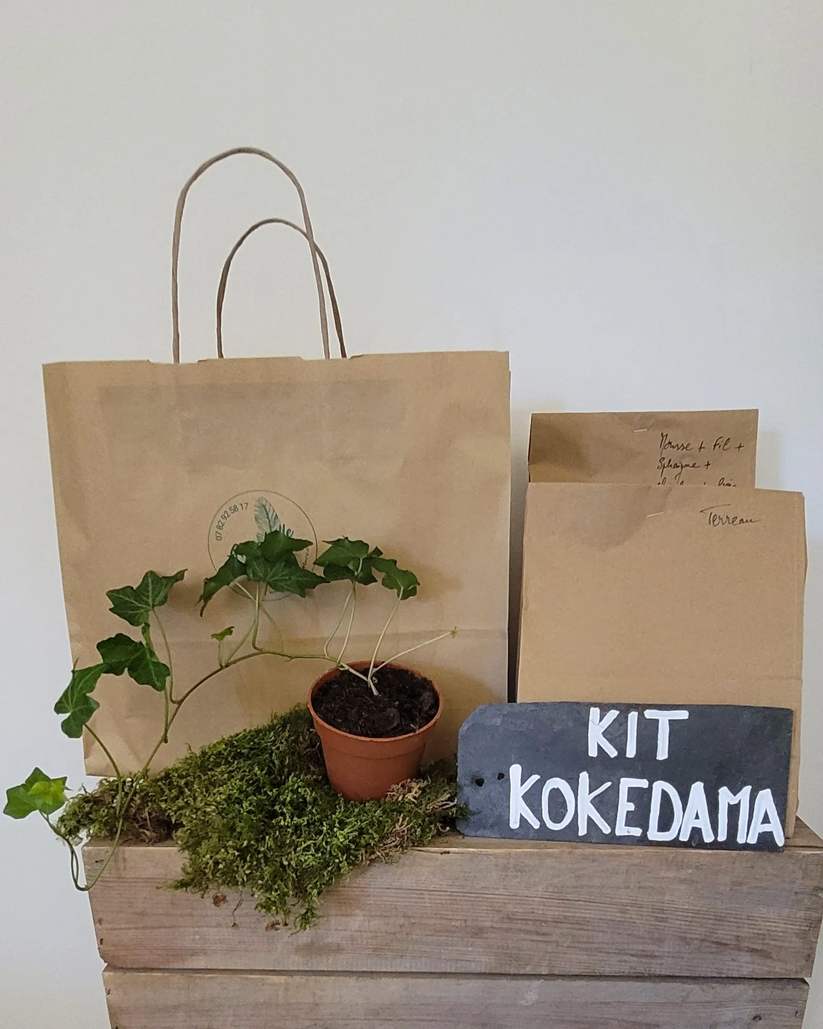 Kit Kokedama Lierre