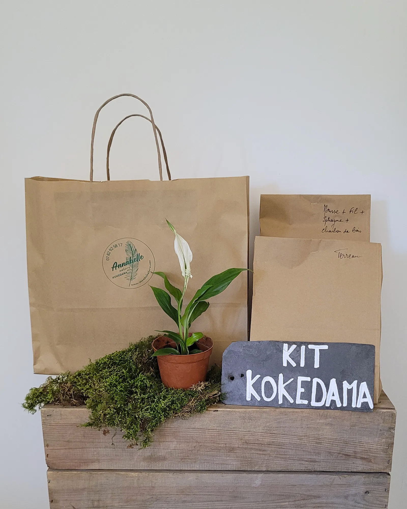 Kit Kokedama Spathiphyllum