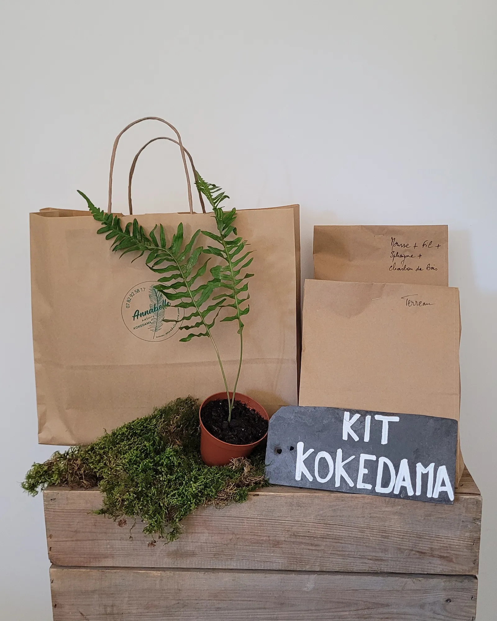 Kit Kokedama Fougère