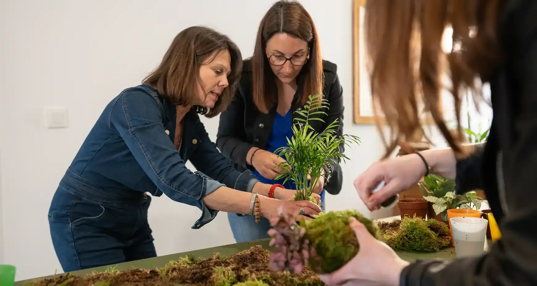 Les Ateliers Kokedama