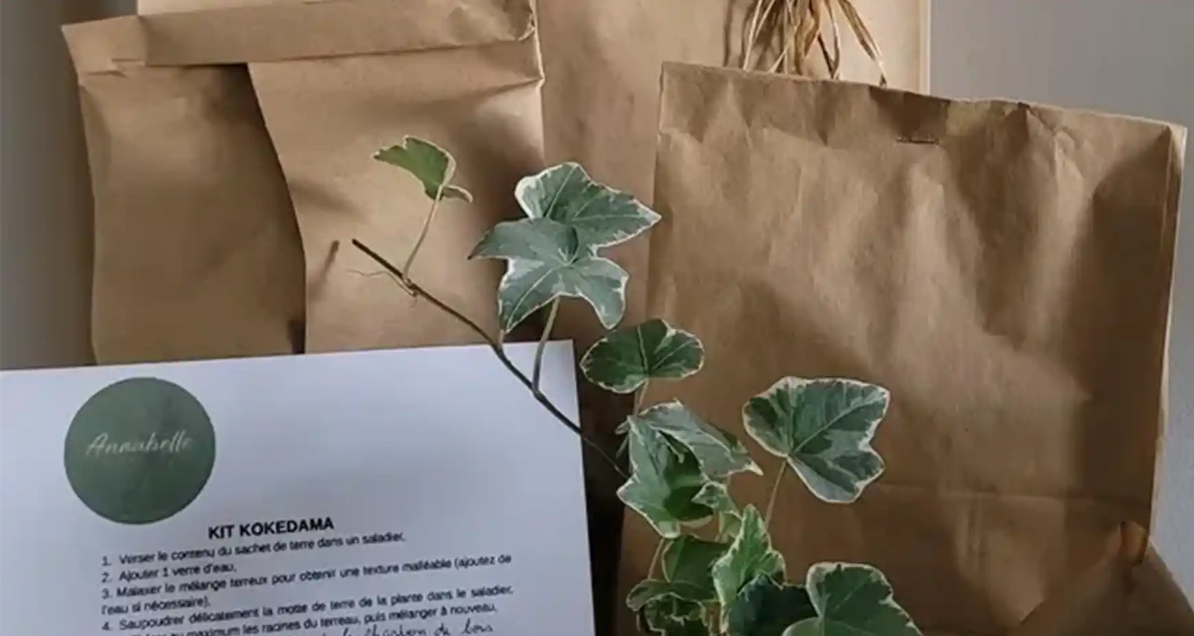 Nos Kits Kokedama