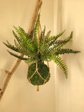 Kokedama artificiel suspendu fougère