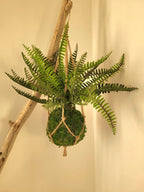 Kokedama artificiel suspendu fougère