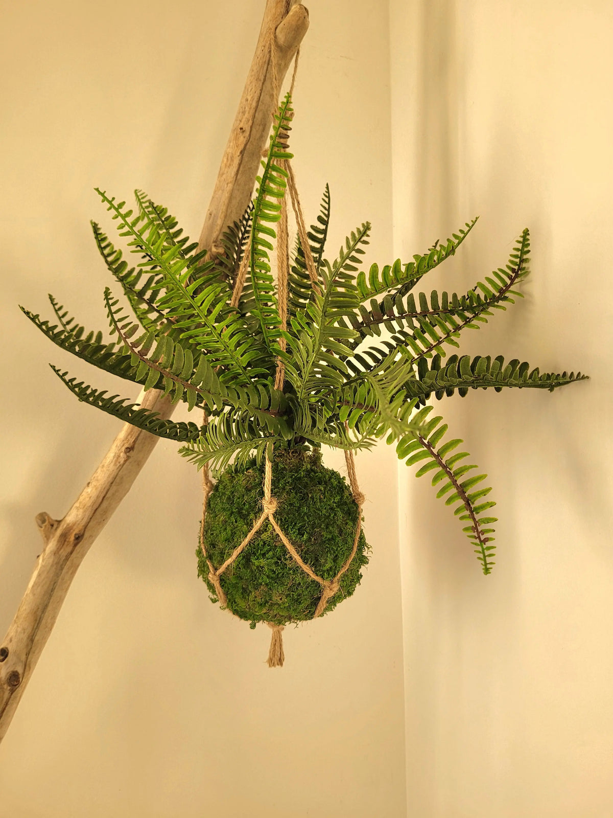 Kokedama artificiel suspendu fougère
