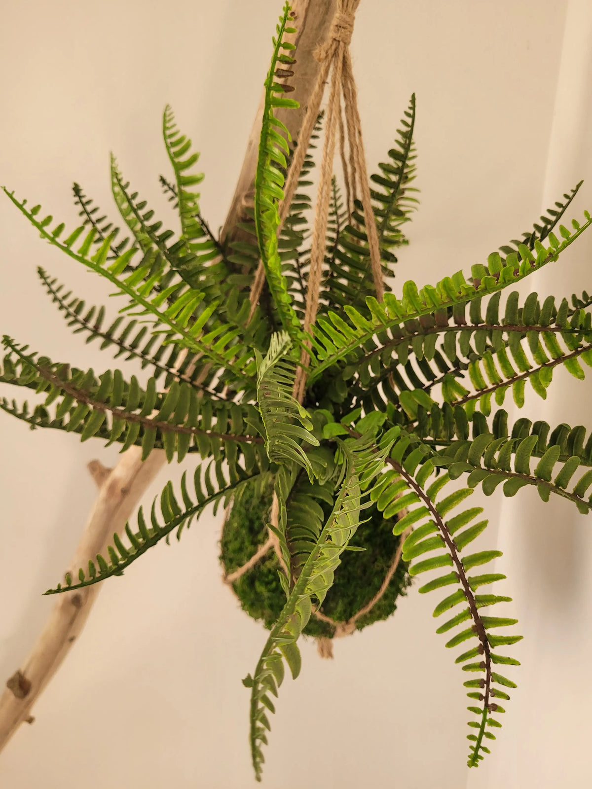 Kokedama artificiel suspendu fougère