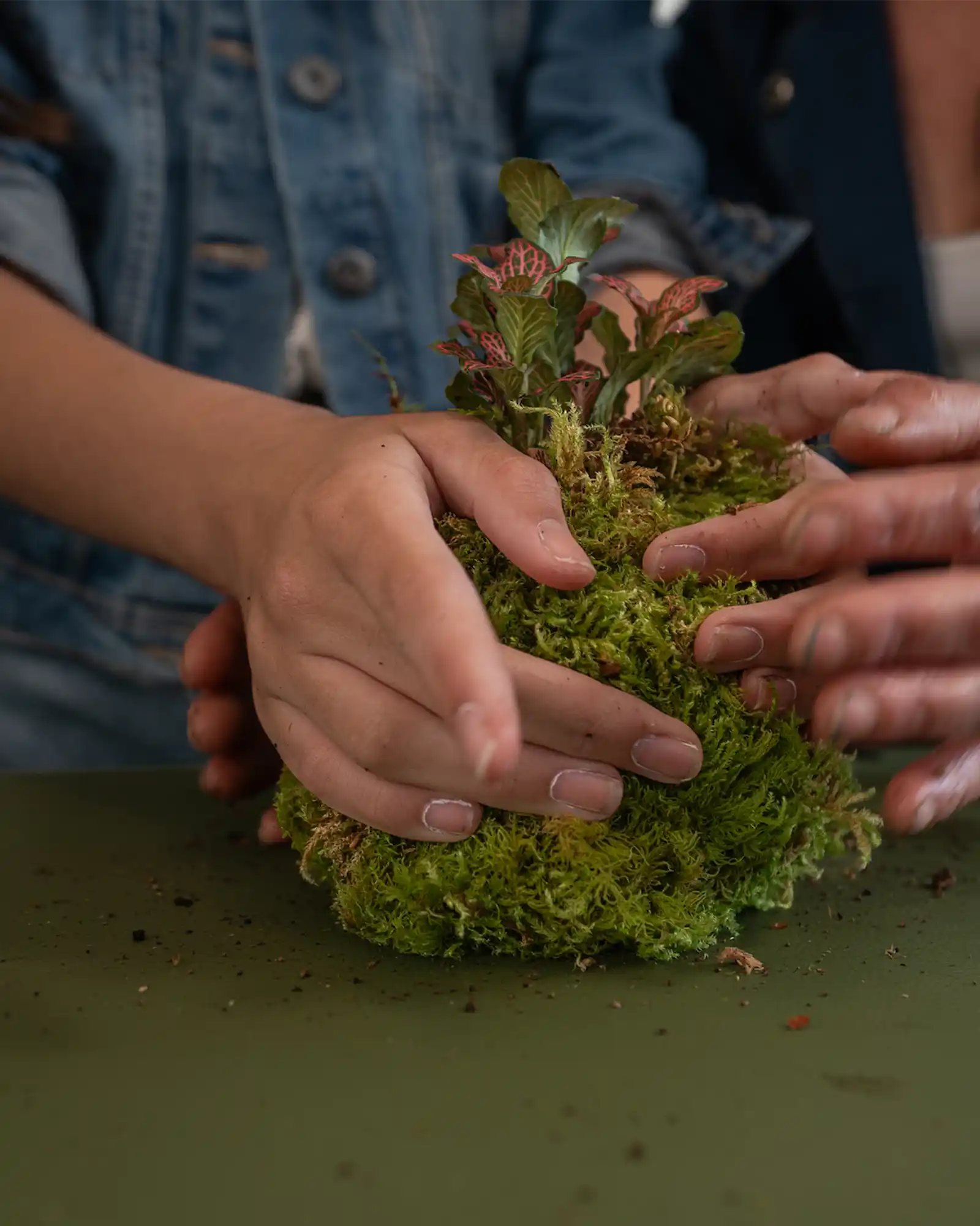 Atelier Kokedama en groupe, EVJF, Anniversaire