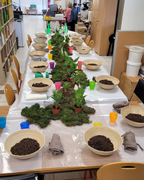 Atelier Kokedama Team building