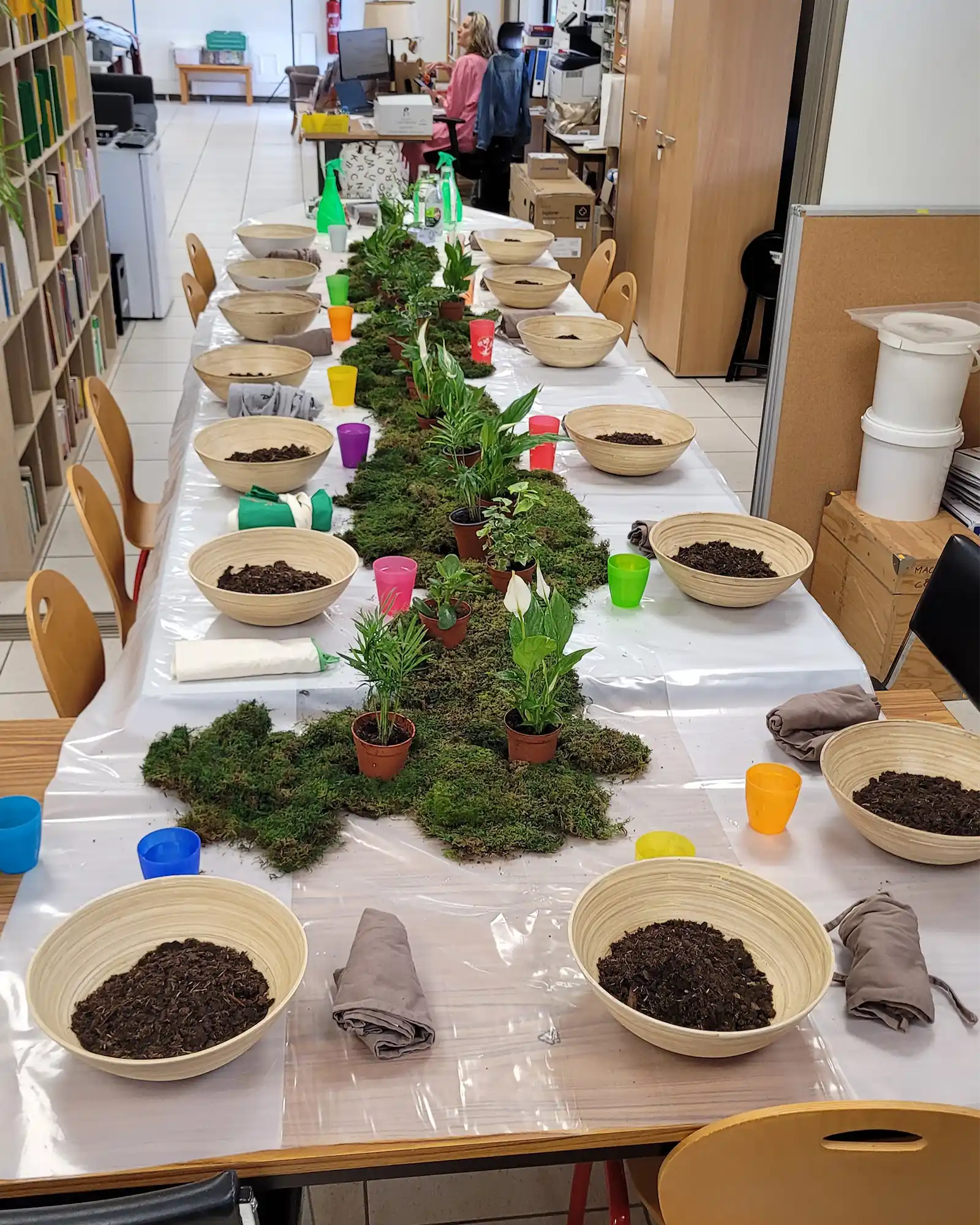 Atelier Kokedama Team building