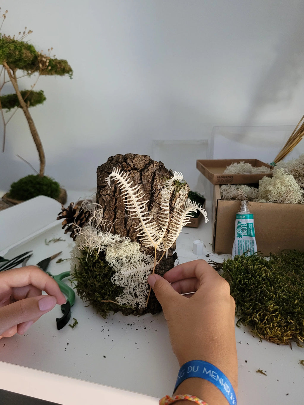 Atelier tableau végétal en famille