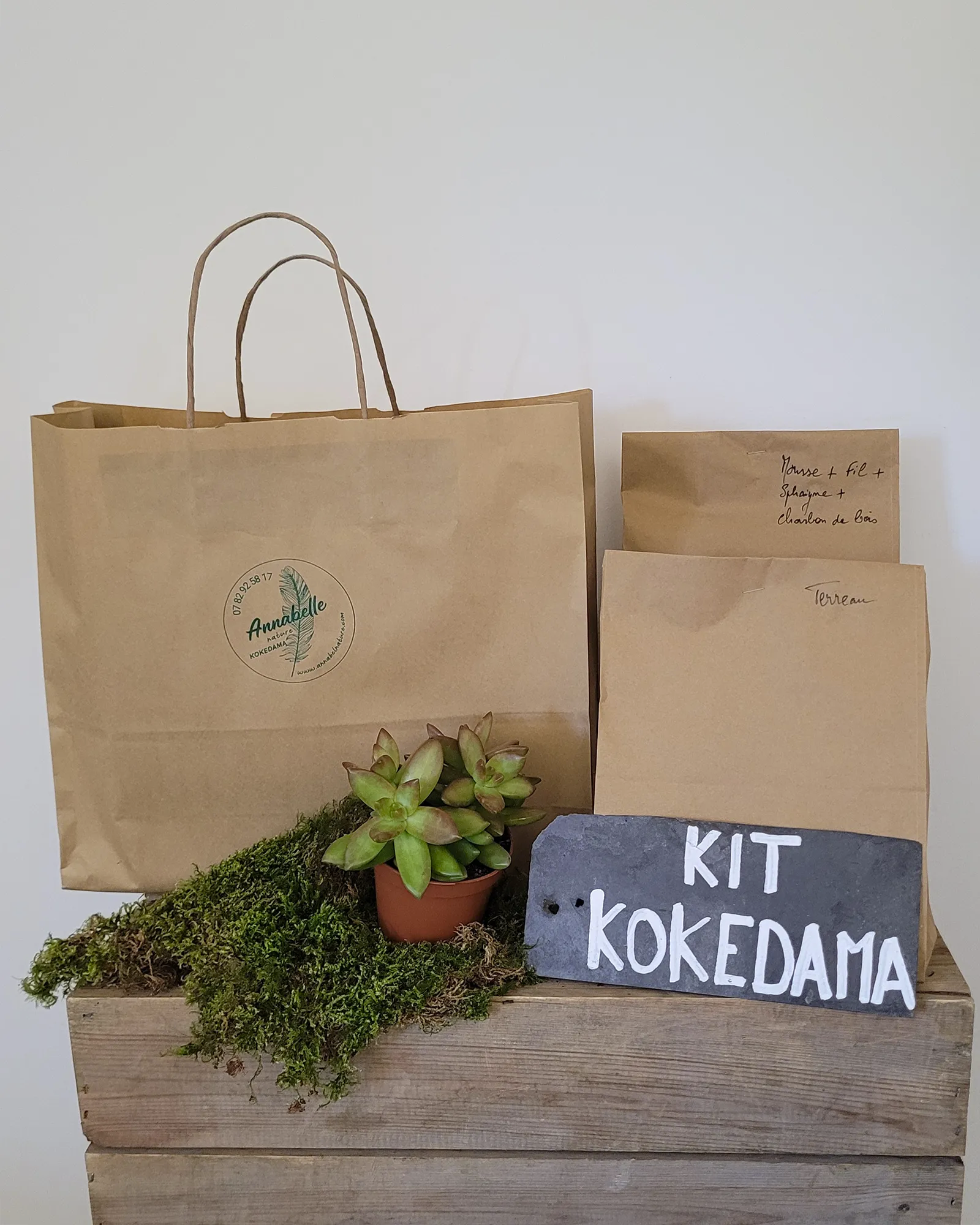 Kit Kokedama Succulente