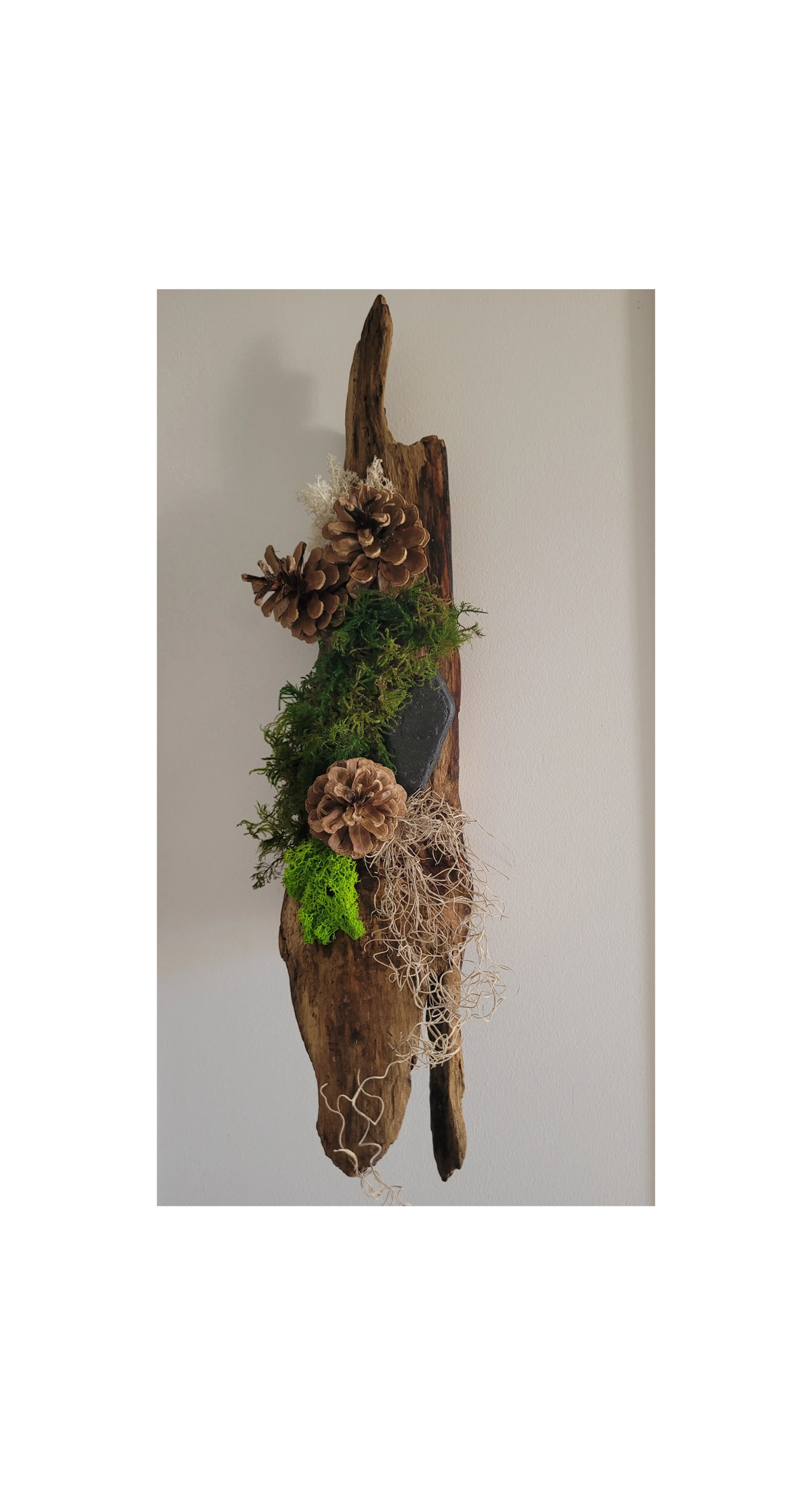 Tableau végétal d'angle sur bois flotté
