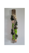 Tableau végétal coquillage sur bois flotté
