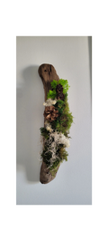 Tableau végétal Lune en bois flotté
