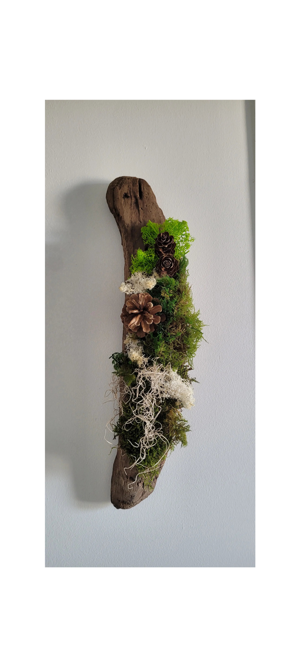 Tableau végétal Lune en bois flotté