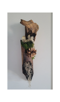 Tableau végétal allongé sur bois flotté brûlé