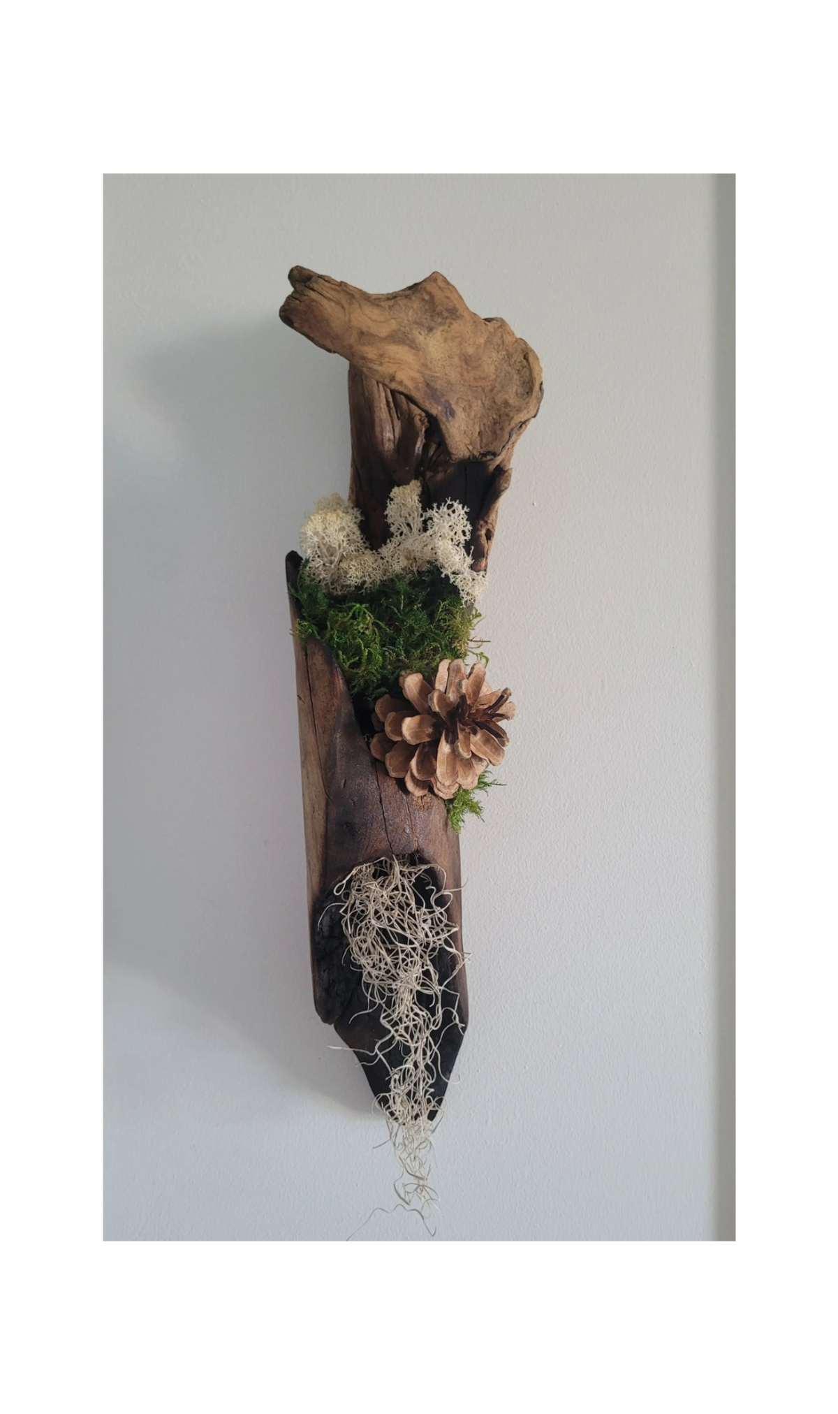 Tableau végétal allongé sur bois flotté brûlé