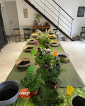 table préparée pour atelier kokedamas à Nantes