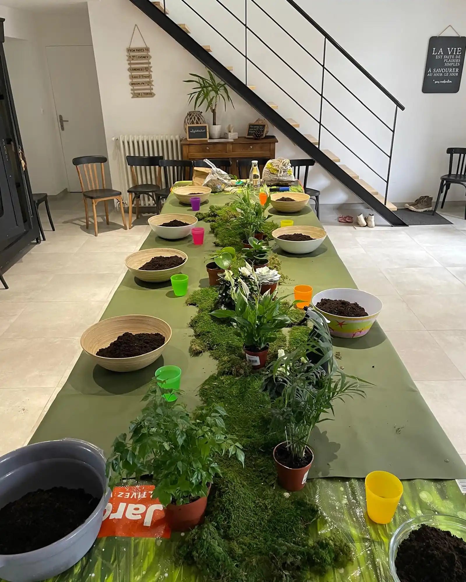 Atelier Kokedama